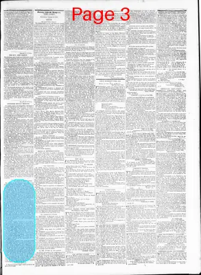 Page thumbnail for The Daily Madisonian