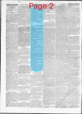 Page thumbnail for The Daily Madisonian