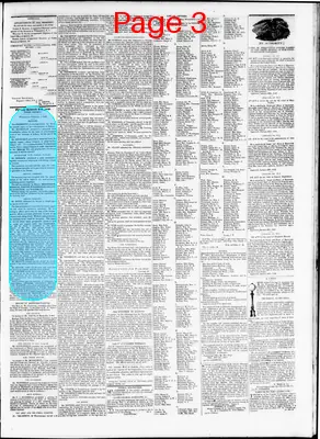 Page thumbnail for The Daily Madisonian