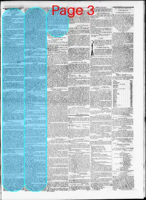 Page thumbnail for The Daily Madisonian