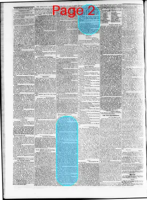 Page thumbnail for The Daily Madisonian