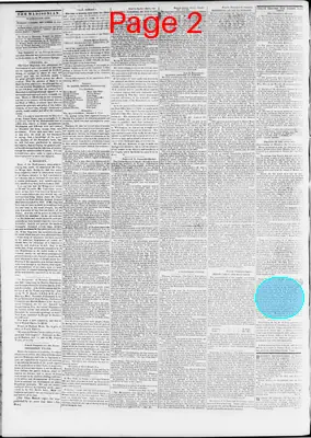 Page thumbnail for The Daily Madisonian
