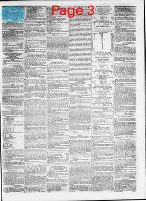 Page thumbnail for The Daily Madisonian