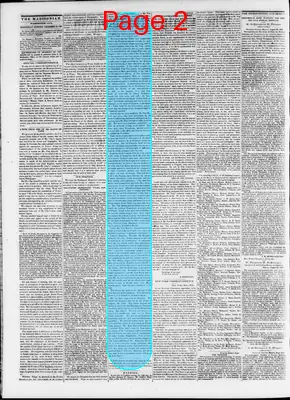 Page thumbnail for The Daily Madisonian