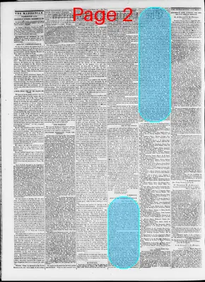 Page thumbnail for The Daily Madisonian