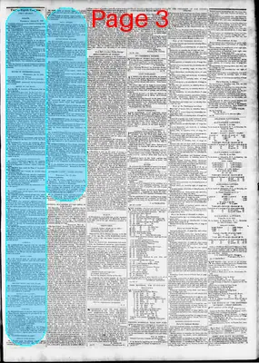 Page thumbnail for The Daily Madisonian