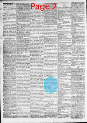 Page thumbnail for The Daily Madisonian
