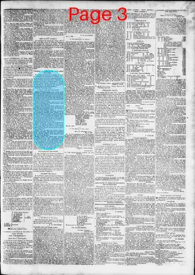 Page thumbnail for The Daily Madisonian