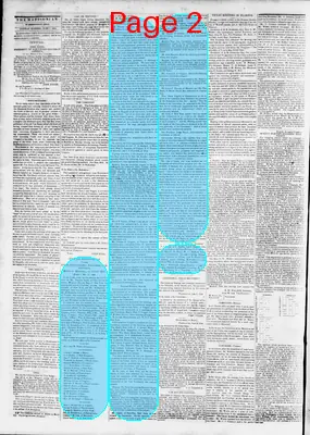 Page thumbnail for The Daily Madisonian