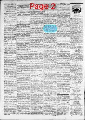 Page thumbnail for The Daily Madisonian