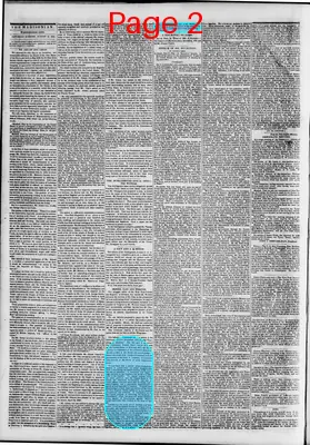 Page thumbnail for The Daily Madisonian