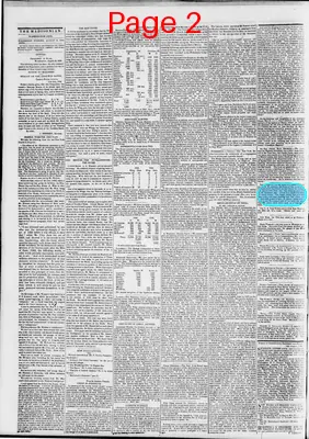 Page thumbnail for The Daily Madisonian