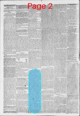 Page thumbnail for The Daily Madisonian