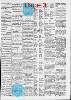 Page thumbnail for The Daily Madisonian
