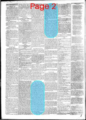 Page thumbnail for The Daily Madisonian