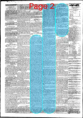 Page thumbnail for The Daily Madisonian