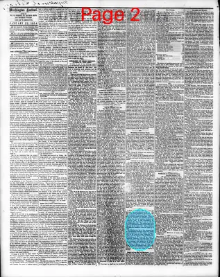 Page thumbnail for Washington Sentinel
