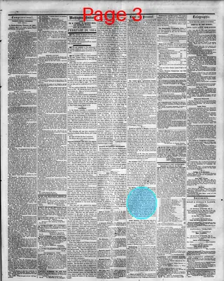 Page thumbnail for Washington Sentinel