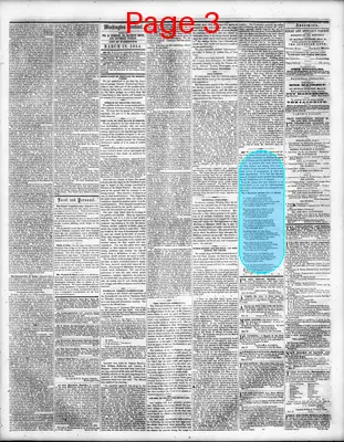 Page thumbnail for Washington Sentinel