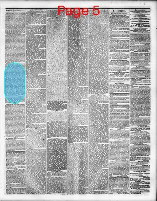 Page thumbnail for Washington Sentinel