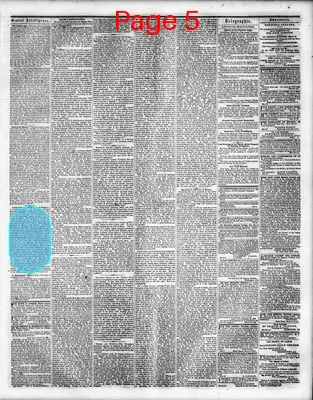 Page thumbnail for Washington Sentinel