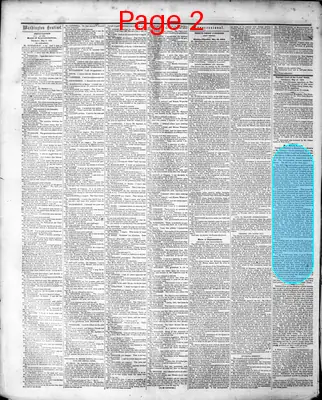 Page thumbnail for Washington Sentinel