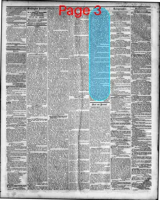 Page thumbnail for Washington Sentinel
