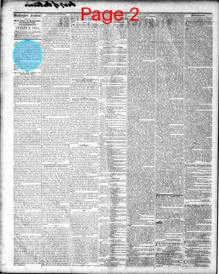 Page thumbnail for Washington Sentinel