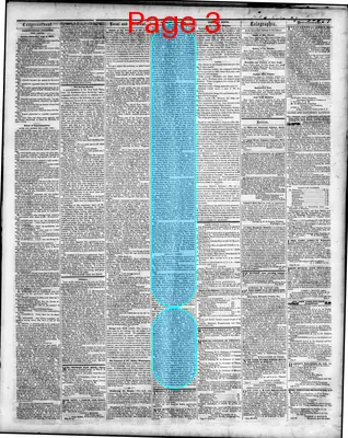 Page thumbnail for Washington Sentinel