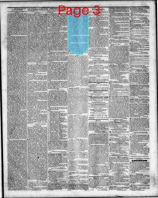 Page thumbnail for Washington Sentinel