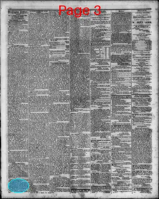 Page thumbnail for Washington Sentinel