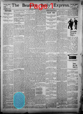 Page thumbnail for The Beatrice Daily Express