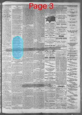 Page thumbnail for Nebraska Advertiser