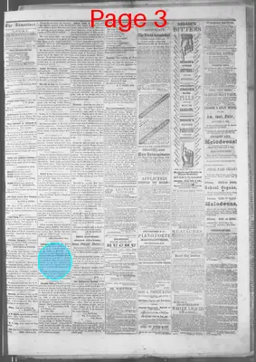 Page thumbnail for Nebraska Advertiser