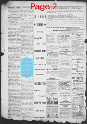 Page thumbnail for The Savannah Tribune
