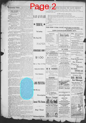 Page thumbnail for The Savannah Tribune