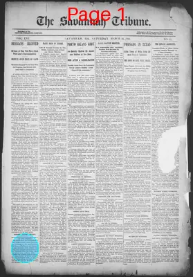 Page thumbnail for The Savannah Tribune