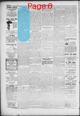 Page thumbnail for The Savannah Tribune