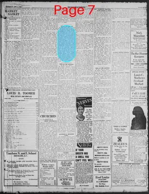 Page thumbnail for The Savannah Tribune