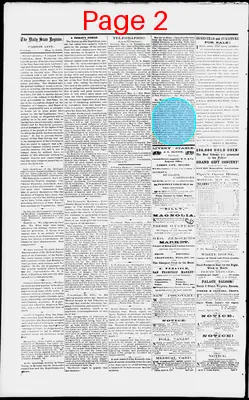 Page thumbnail for The Daily State Register