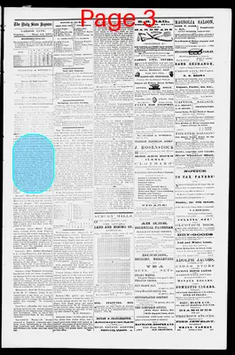 Page thumbnail for The Daily State Register
