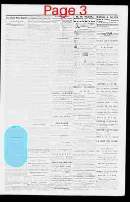 Page thumbnail for The Daily State Register