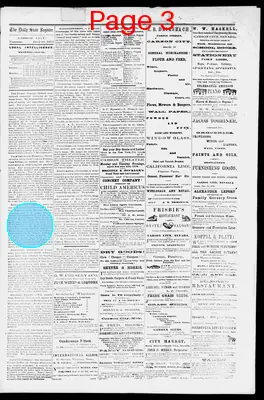 Page thumbnail for The Daily State Register