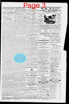 Page thumbnail for The Daily State Register