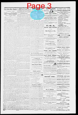 Page thumbnail for The Daily State Register