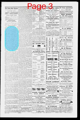 Page thumbnail for The Daily State Register