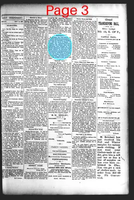 Page thumbnail for Daily Independent