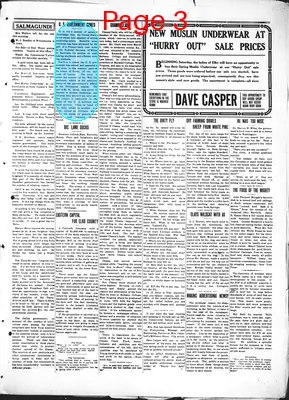 Page thumbnail for Daily Independent