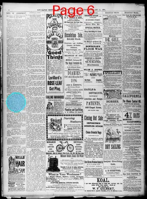 Page thumbnail for The Daily Morning Journal And Courier