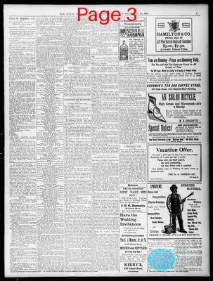 Page thumbnail for The Daily Morning Journal And Courier